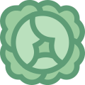 Cabbage icon