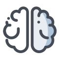 Brain icon