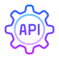 Impostazioni API icon