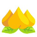 Peach icon