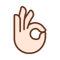 OK Gesture icon