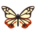 Бабочка Данаида сита icon