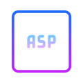 ASP icon