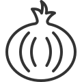 Onion icon