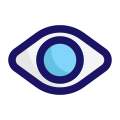 eye icon