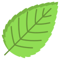 Hornbeam Leaf icon