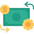 cash flow icon