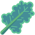 Kale icon