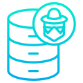 Database icon