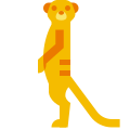 Lunetta suricata icon