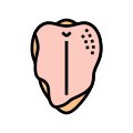 Chicken Breast icon