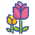 Blossom icon