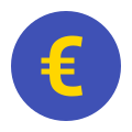 Euro icon