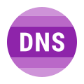 DNS icon