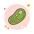 Bacteria icon