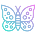 Schmetterling icon