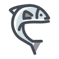 Salmão icon