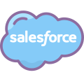 Salesforce icon