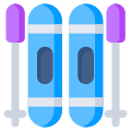 Ski Accessory icon