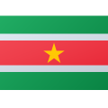 Surinam icon