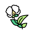 Flowering Plant icon