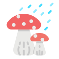 Mushrooms icon