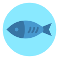 Fish Meal icon