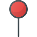 Pin icon