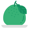 Pomelo icon