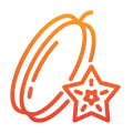 Star Fruit icon