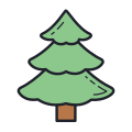 Sapin icon