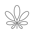 Schefflera icon