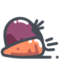 Beetroot and Carrot icon