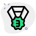외부-꽃-모양-3위-동메달-보상-보상-녹색-탈-리바이보 icon