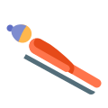 Luge icon