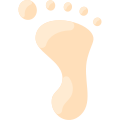 Footprint icon