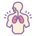 sistema respiratório icon