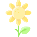 Sunflower icon