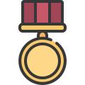 Medal icon