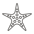 Sea Star icon