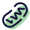 ミトコンドリア icon