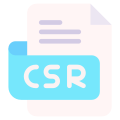 Csr icon