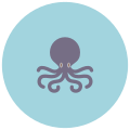 Pulpo icon