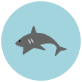 Tiburón icon