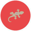Salamander icon