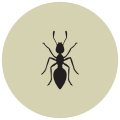 Formica icon