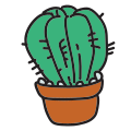Cactus en maceta icon