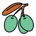 Oliva icon