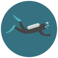 Plongée sous-marine icon
