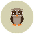 Owl icon